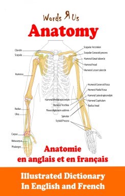 Words R Us Illustrated Dictionary of Anatomy