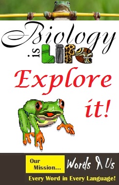 Words R Us for Biology