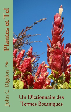 Plantes et Tel: Un Dictionnaire des Termes Botaniques
