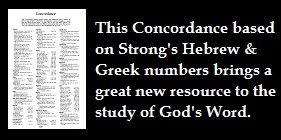 Spanish Bible Concordance